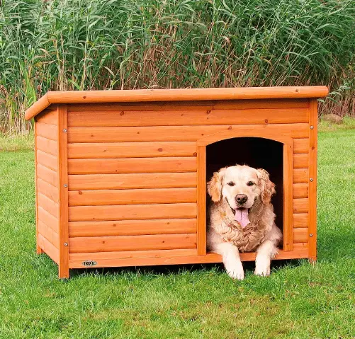 8 Best Dog Houses for Labrador Retrievers in 2023 - Juniper Pets